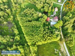 Działka pod zabudowę jednorodzinną w gm. Skrzyszów - Obrazek 3