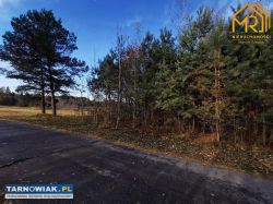 Działka pod zabudowę jednorodzinną w gm. Skrzyszów - Obrazek 4