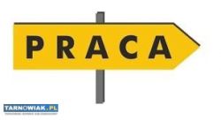 Zatrudnię ogrodnika/arborystę/pilarza - Obrazek 1