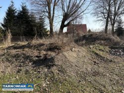 Oddam ziemię - Radłów - Obrazek 2