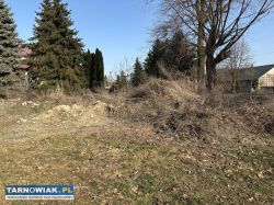 Oddam ziemię - Radłów - Obrazek 3