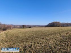 Działka rolna 44 ary - Dębowa, gm. Jodłowa - Obrazek 1