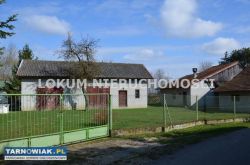Dom i zabudowania gosp-garażowe - Mędrzechów - Obrazek 2