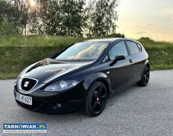 Seat leon 2 1.9 tdi 2006 - Obrazek 1