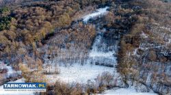 Grabno gm. Wojnicz- Działka rolna - Obrazek 4