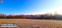 Buchcice- działka rolna - Obrazek 1