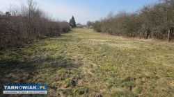 Działka Tarnów - Obrazek 3