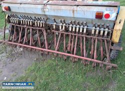 Siewnik poznaniak - Obrazek 3