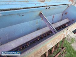 Siewnik poznaniak - Obrazek 4