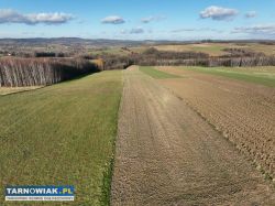 Działka 1,5 ha czeka na Twój dom gm. Szerzyny - Obrazek 3