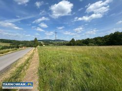 Działka rolno-budowlana, Czermna, 0,57ha - Obrazek 2