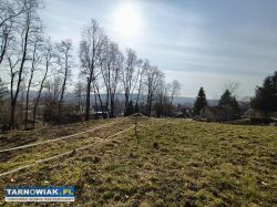 Rzuchowa działka budowlana - Obrazek 1