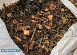 Drewno opałowe zrębki - Obrazek 1