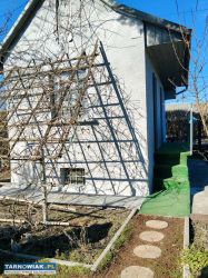 Sprzedam działkę ROD,,Semafor " - Obrazek 2