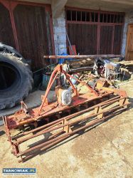 Brona wirowa - Obrazek 1