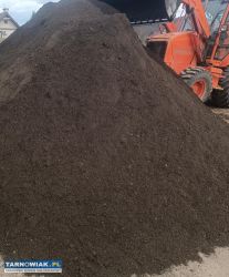 Kliniec piasek gryz ziemia - Obrazek 1