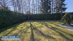 Zlęcę wykonanie płyty betonowej w ogrodzie - Obrazek 3