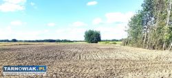 Sprzedam Działki - Obrazek 1