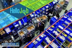 Praca w Holandii - Obrazek 1