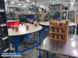 Praca w Holandii - Obrazek 3