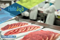 Praca w Holandii - Obrazek 2