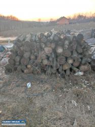 Sprzedam - Obrazek 1