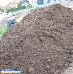 Ziemia, piasek - Obrazek 1