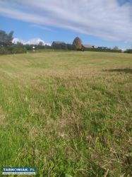 Sprzedam działki budowlane - Obrazek 1