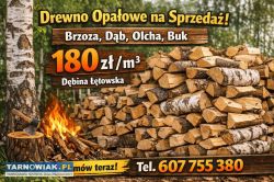Drewno opałowe - Obrazek 1
