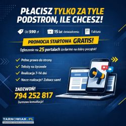 Strona internetowa od 590 zł - płacisz za tyle pod - Obrazek 2