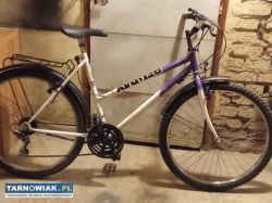 rower damka 26 koła - Obrazek 1