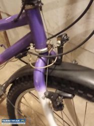 rower damka 26 koła - Obrazek 3