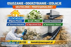 Osuszanie, iniekcja krystaliczna i podcinanie ścia - Obrazek 1