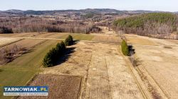 Szukam działki - Obrazek 1