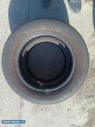 Opony dębica passio 2 185-60-r14 - 2 szt - Obrazek 1