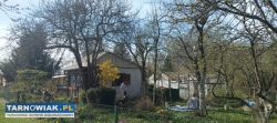 ogródek działkowy - Obrazek 1