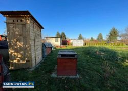 Rod jaskółka tarnów - Obrazek 2