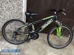 Rower - Obrazek 1