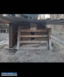 Dąb tarcia deski 50+mm - Obrazek 3