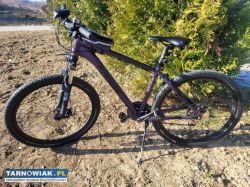 Rower Kands Comp-ER 29"/18" - Obrazek 1