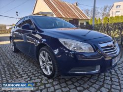Opel Insignia 2009 2.0 super stan ! - Obrazek 1