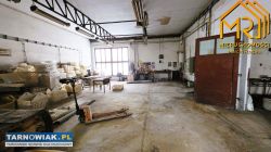 okolice Wojnicza - Obrazek 3