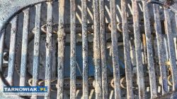 Grill gazowy - Obrazek 4