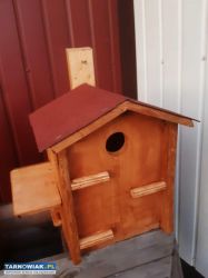 Budki lęgowe, sikorka, szpak ,jerzyk - Obrazek 3