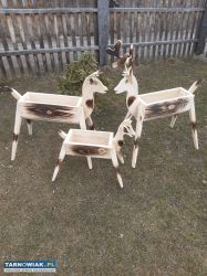 Doniczki na kwiaty jelonki - Obrazek 2