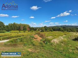 Nowe "Osiedle Borki" Koszyce Wielkie - Obrazek 3