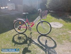 Sprzedam rower damski - Obrazek 1