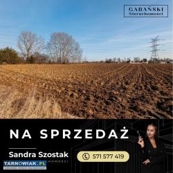 Dwie działki budowlane w RADŁOWIE - Obrazek 3