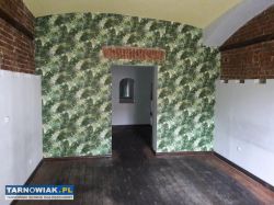 Kapitulna, Lokal Użytkowy, 61m2, Parter - Obrazek 2