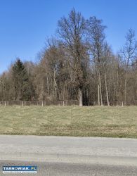 Działka budowlana 22 ary Jodłówka-Wałki - Obrazek 4